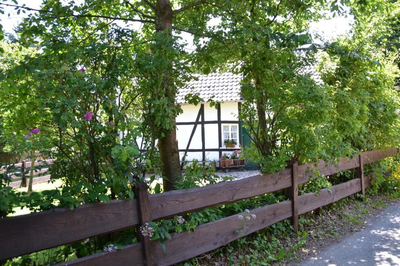 モンシャウ Eifelhaus Paulaヴィラ エクステリア 写真